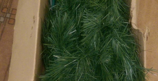 So That Was Christmas