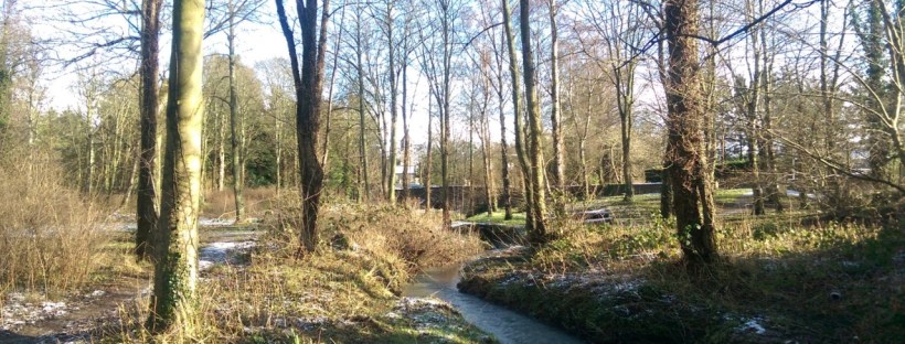 Cold & Frosty Morning