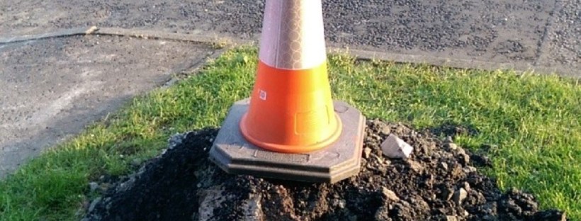 Beware The Mutant Moles