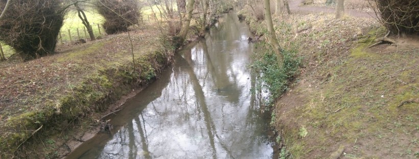 Lunchtime Wanderings