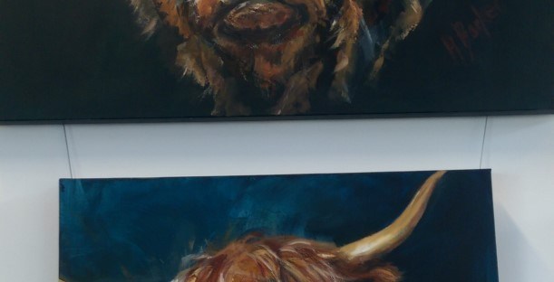 Heilan Coo