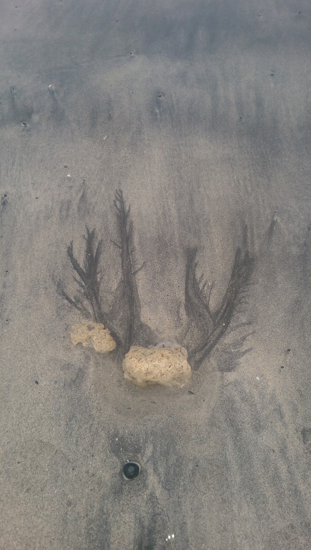 Patterns In The Sand