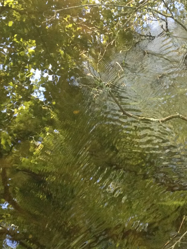 20140512_183812303_iOS[1]