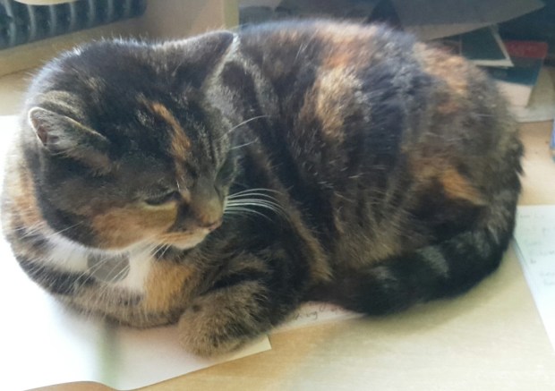 20160412_082321_resized