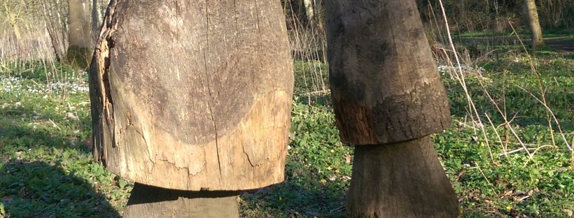 Toadstoll Sculptures