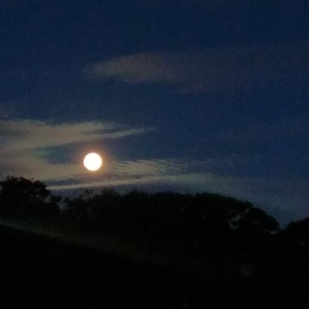 Midsummer Full Moon