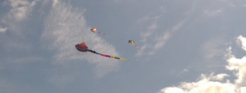 Kites