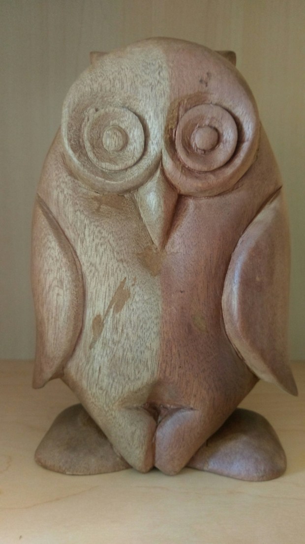 Owl