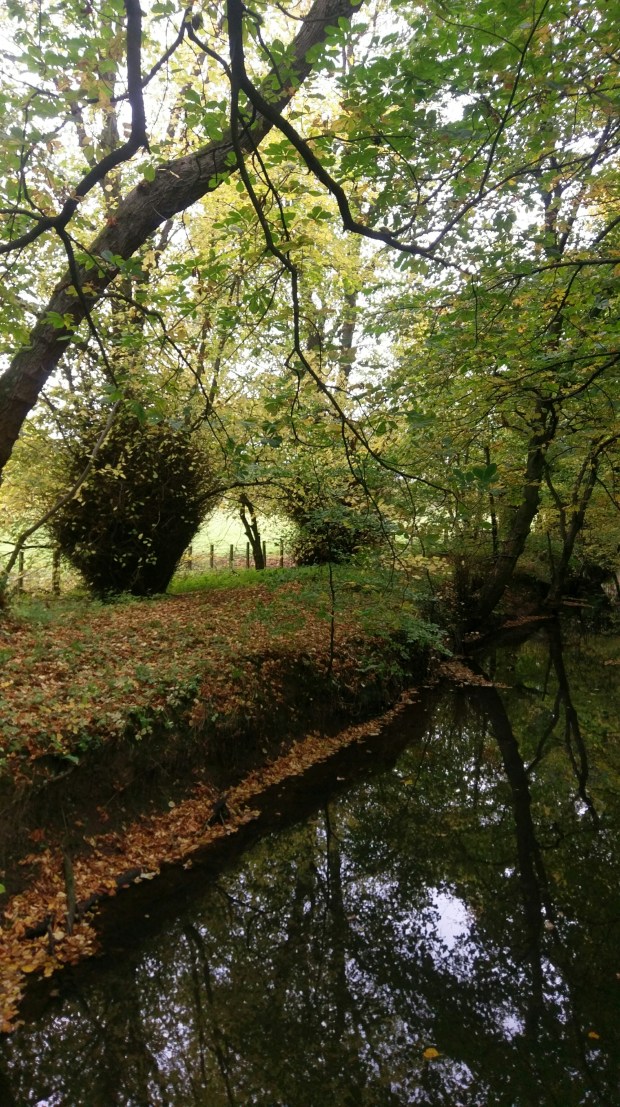 Autumn On The Riverbank