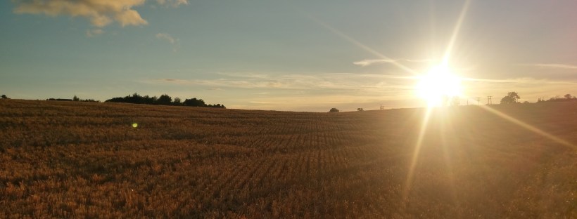 Harvest Sunset