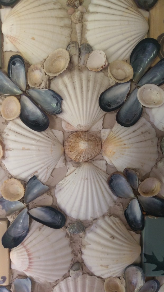 Shells