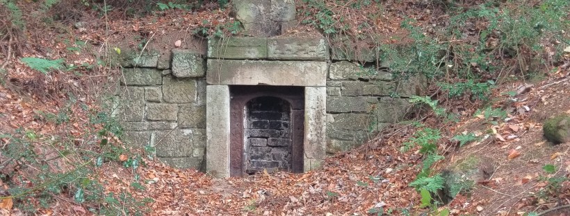 Fireplace In The Forest