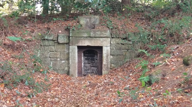 Fireplace In The Forest