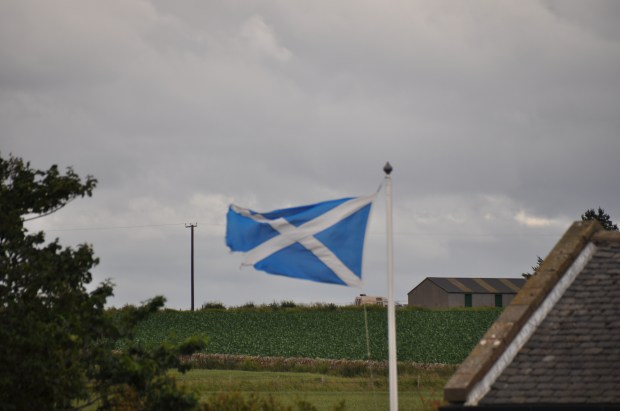 St. Andrew's Day
