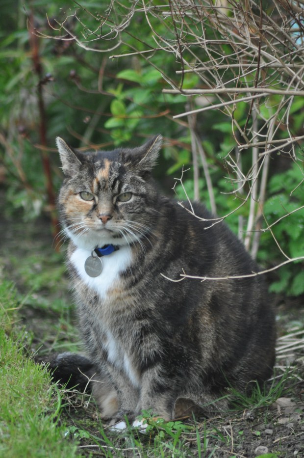 Her Natural Environment