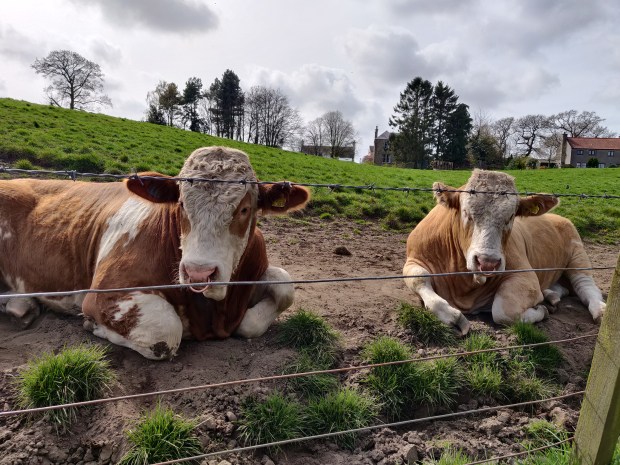Lazing On A Sunday Afternoon