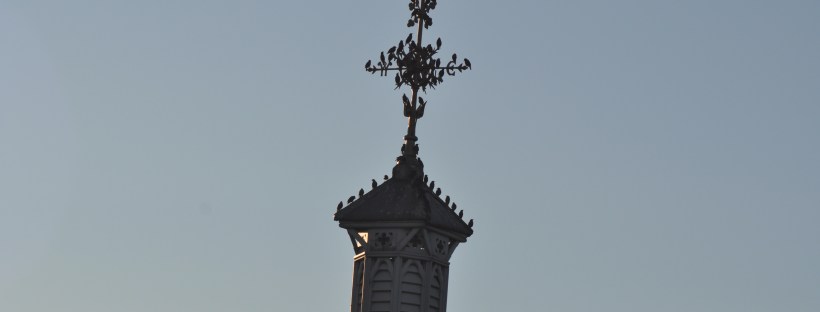 Birds Gathering on the rooftop and spire