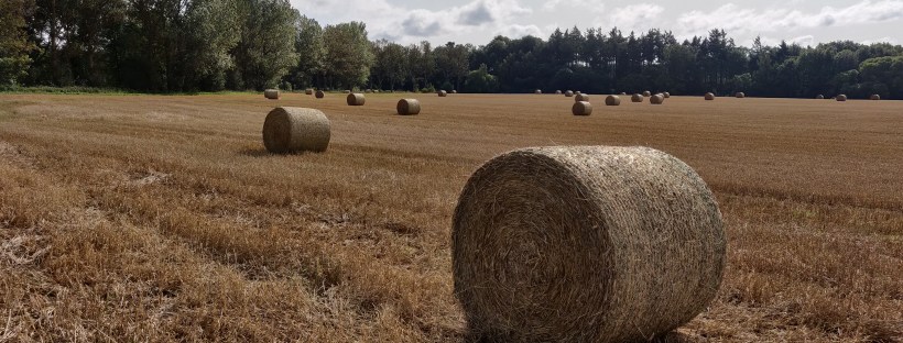 Straw Bales