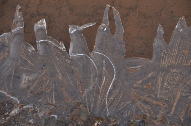 Broken ice on a puddle