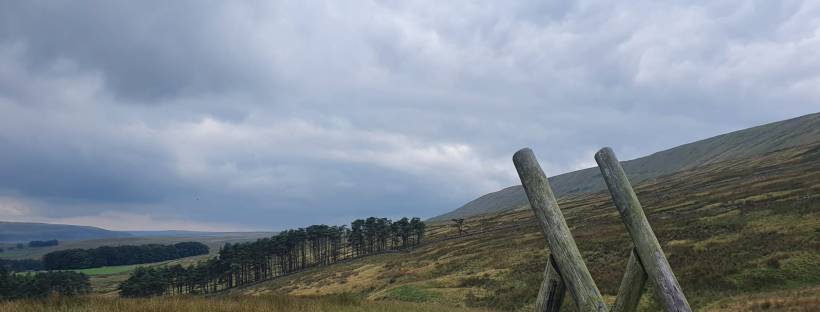 Stile over dyke inYorkshire Dales